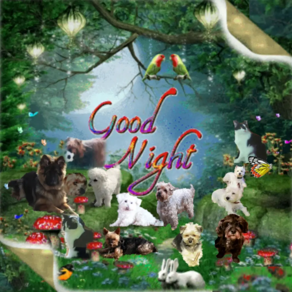 Andachtsbild von Ewa & Krzysztof mit Jacki tief im Herzen ❤