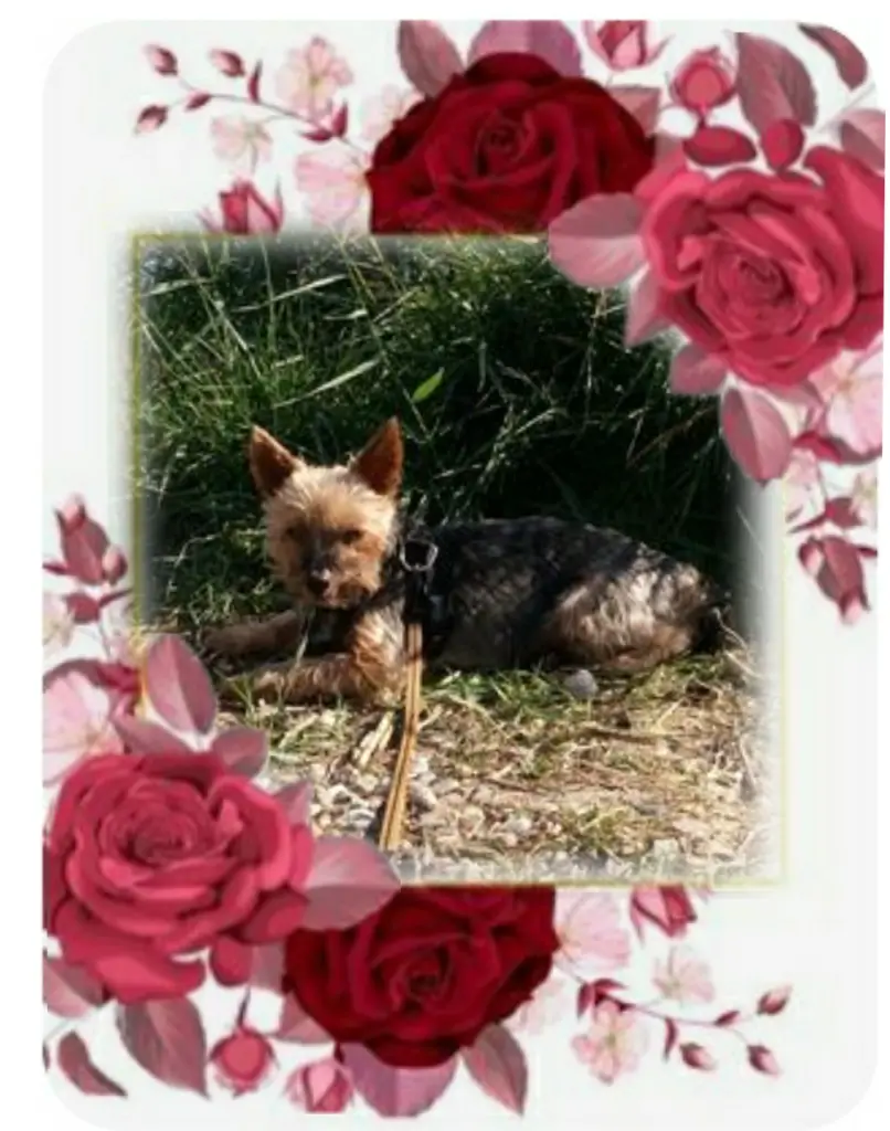 Andachtsbild von Ewa & Krzysztof mit Jacki tief im Herzen ❤