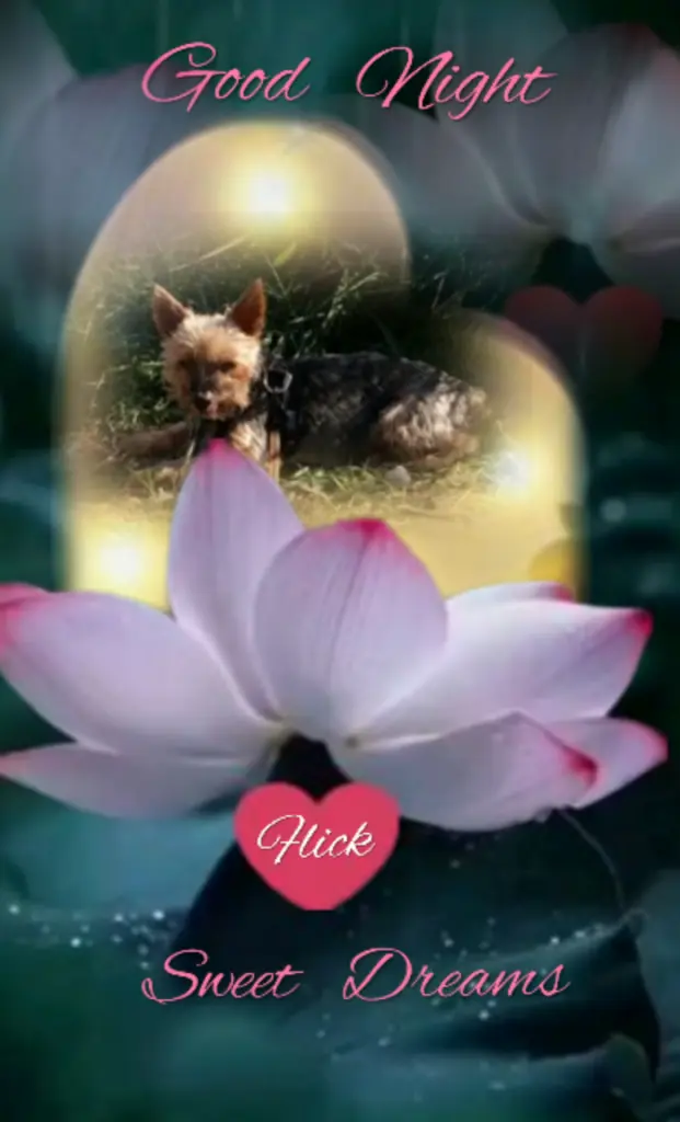 Andachtsbild von Ewa & Krzysztof mit Jacki tief im Herzen ❤