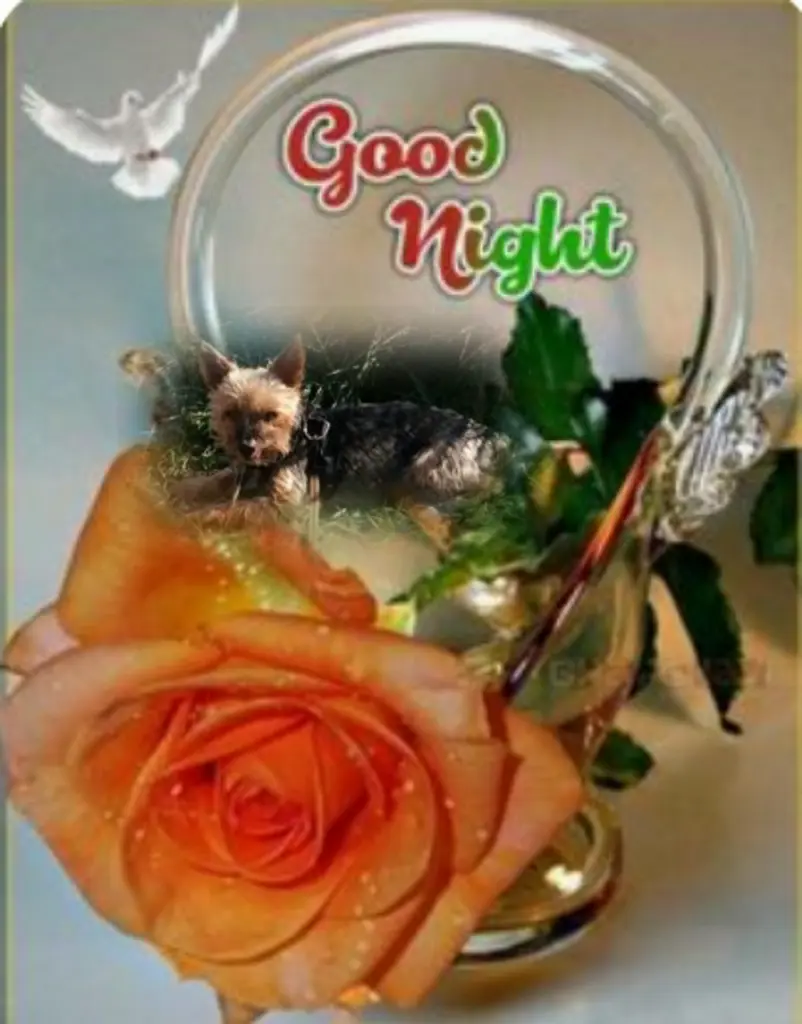 Andachtsbild von Ewa & Krzysztof mit Jacki tief im Herzen ❤