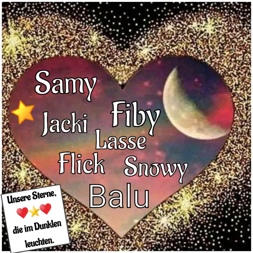 Andachtsbild von Martina mit Seelenhund Samy ♥️⭐♥️ für immer im Herzen 