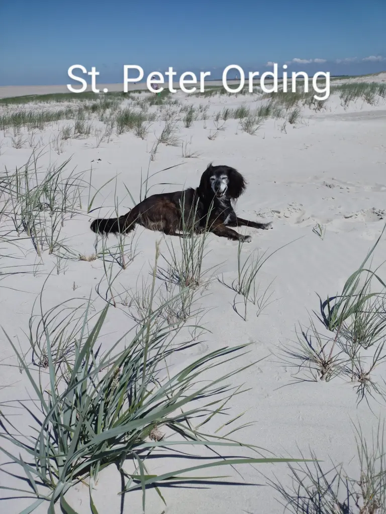 Andachtsbild von Beate mit Ella im ❤️