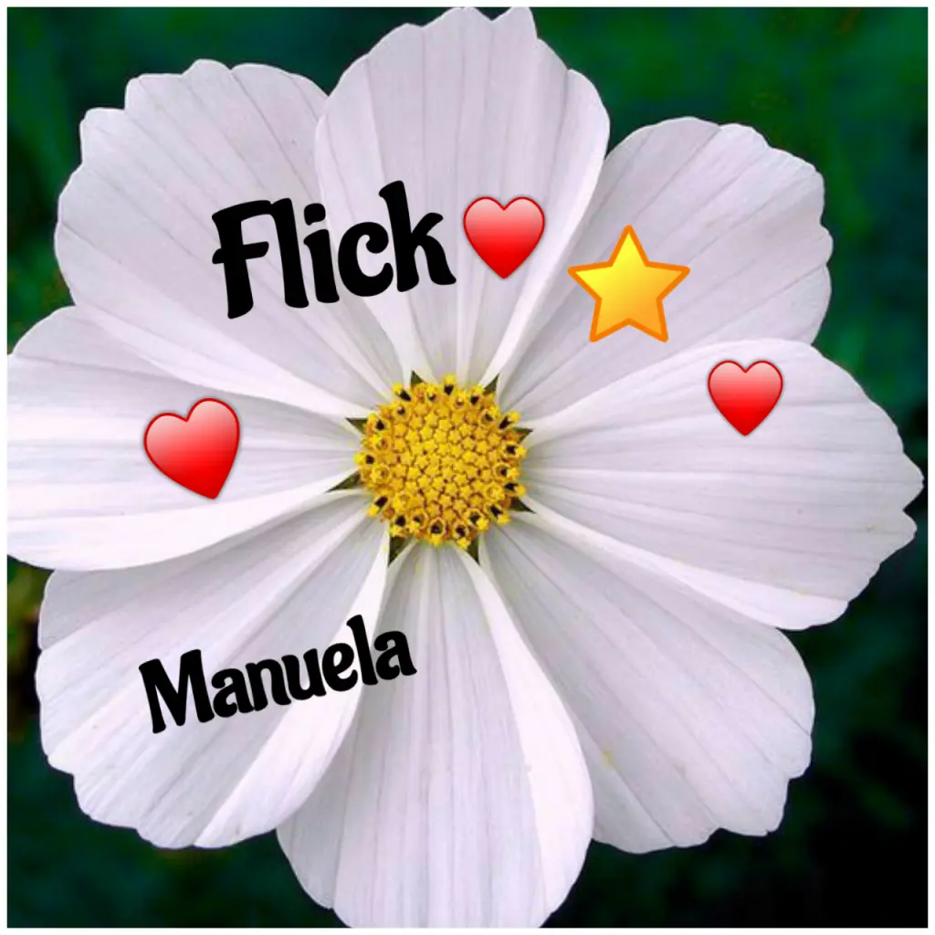 Andachtsbild von Martina mit Samy ♥️⭐♥️ für immer im Herzen 