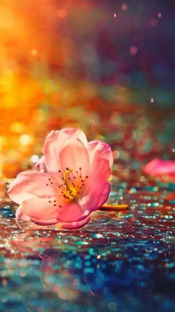 Andachtsbild von Regina mit Shila im Herzen ❤️ 