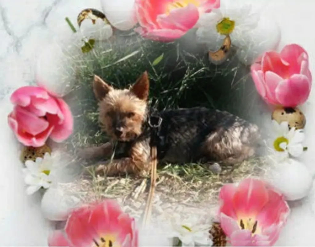 Andachtsbild von Ewa & Krzysztof mit Jacki tief im Herzen ❤