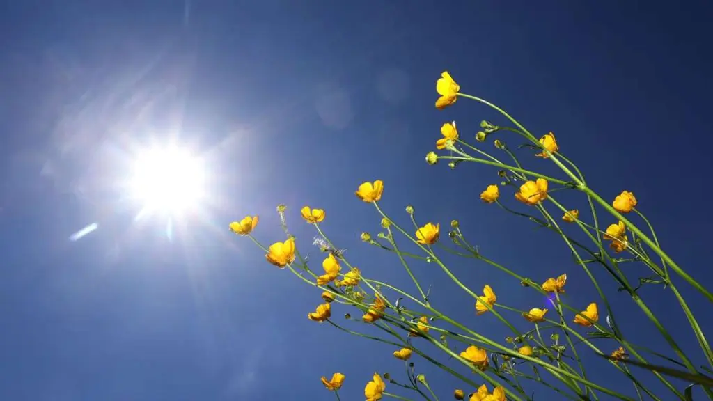 Andachtsbild von ♥️Snowy ❤️