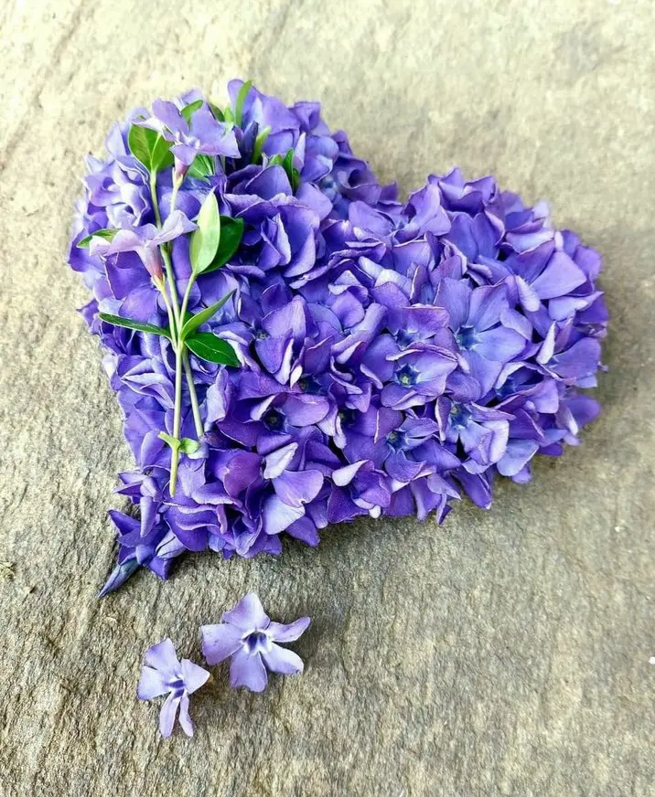 Andachtsbild von Martina mit Seelenhund Samy ♥️⭐♥️ für immer im Herzen 