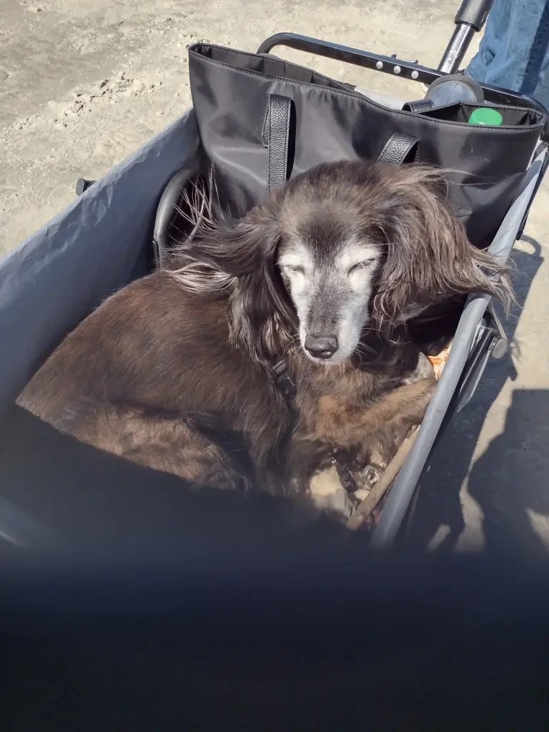 Andachtsbild von Beate mit Ella im ❤️