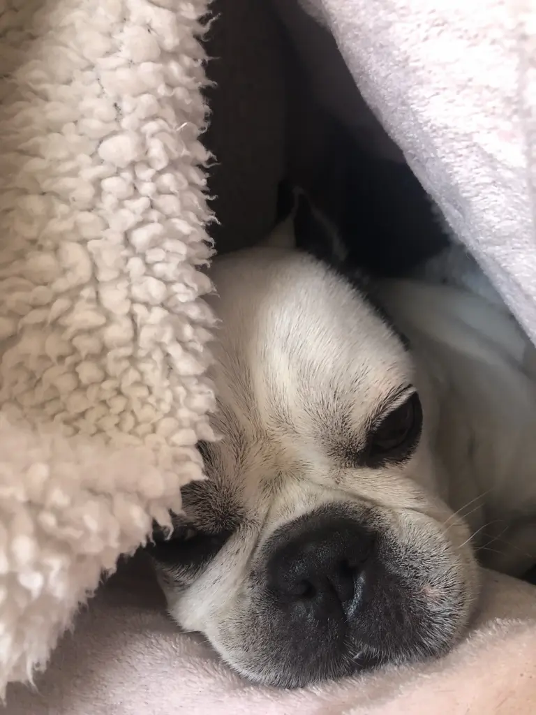 Andachtsbild von Christel mit Emmi