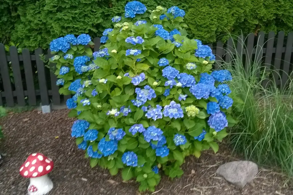 Andachtsbild von ❤️ Dankeschön ❤️