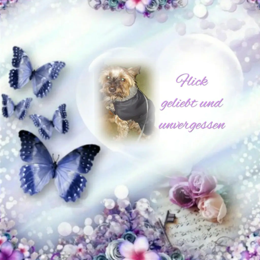 Andachtsbild von ❤