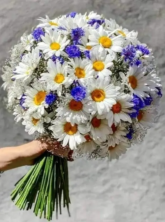 Andachtsbild von Martina mit Seelenhund Samy ♥️⭐♥️ für immer im Herzen 