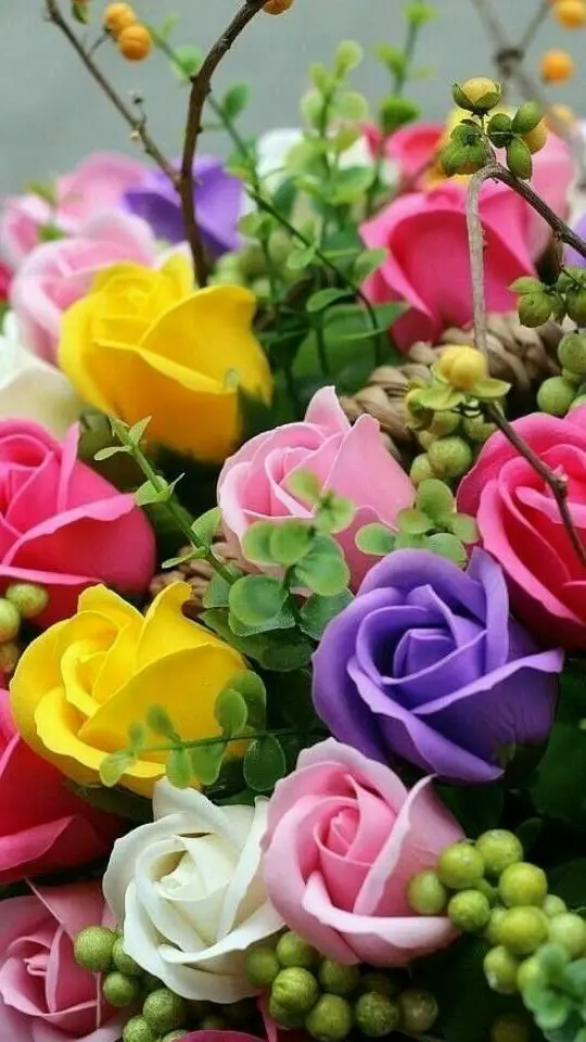 Andachtsbild von Martina mit Seelenhund Samy ♥️⭐♥️ für immer im Herzen 