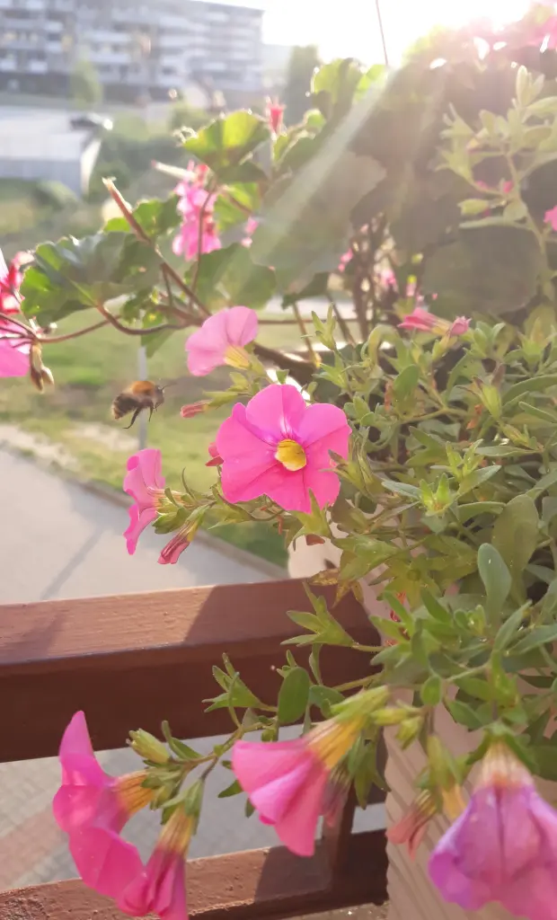 Andachtsbild von ❤