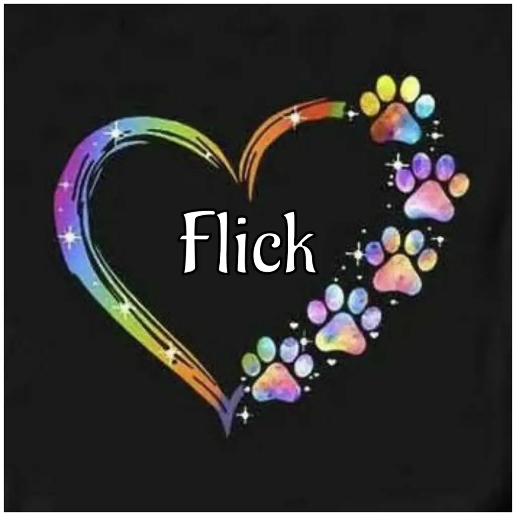 Andachtsbild von Martina mit Seelenhund Samy ♥️⭐♥️ für immer im Herzen 