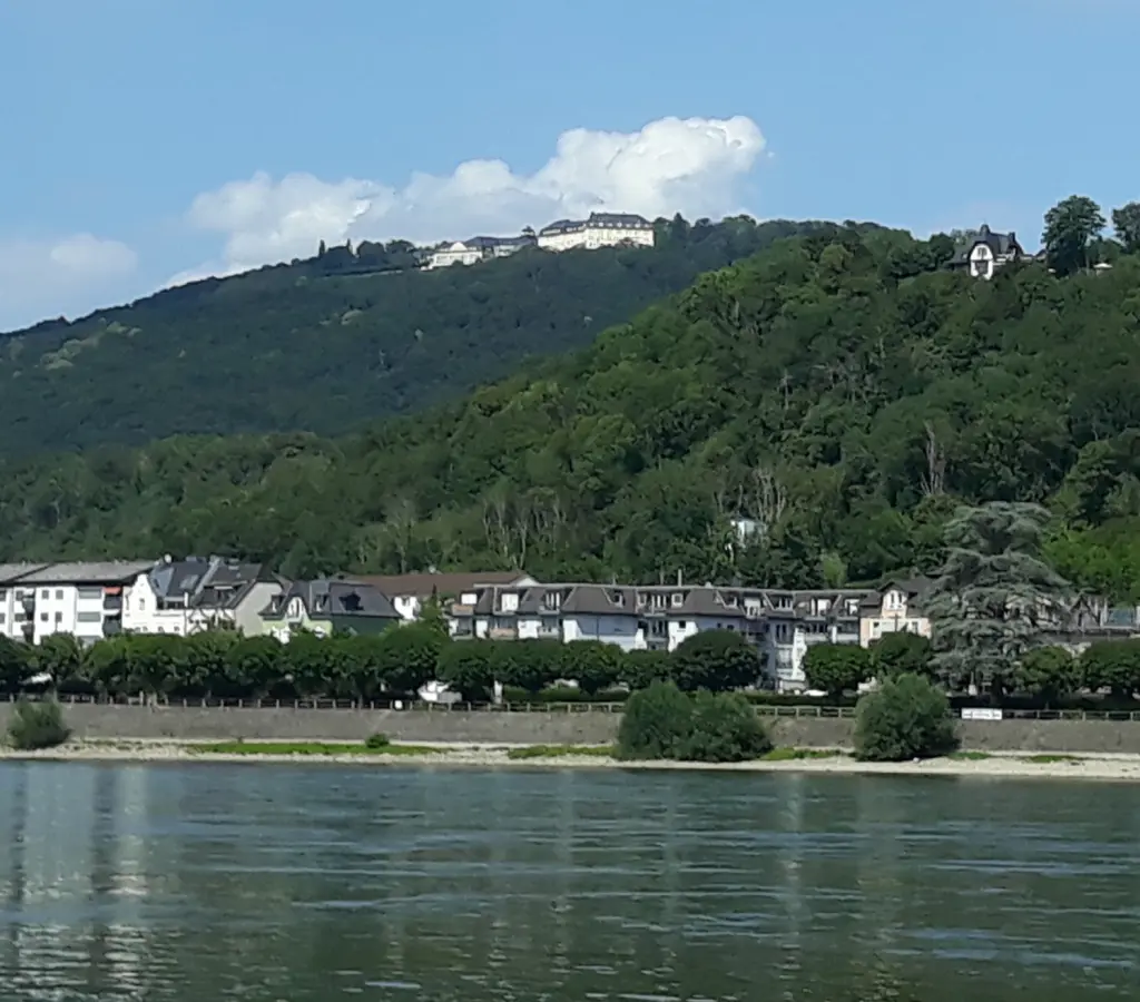 Andachtsbild von Martina mit Seelenhund Samy ♥️⭐♥️ für immer im Herzen 