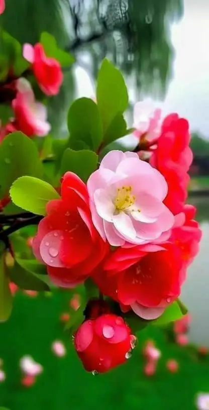 Andachtsbild von Liebe Grüße aus Bonn ♥️