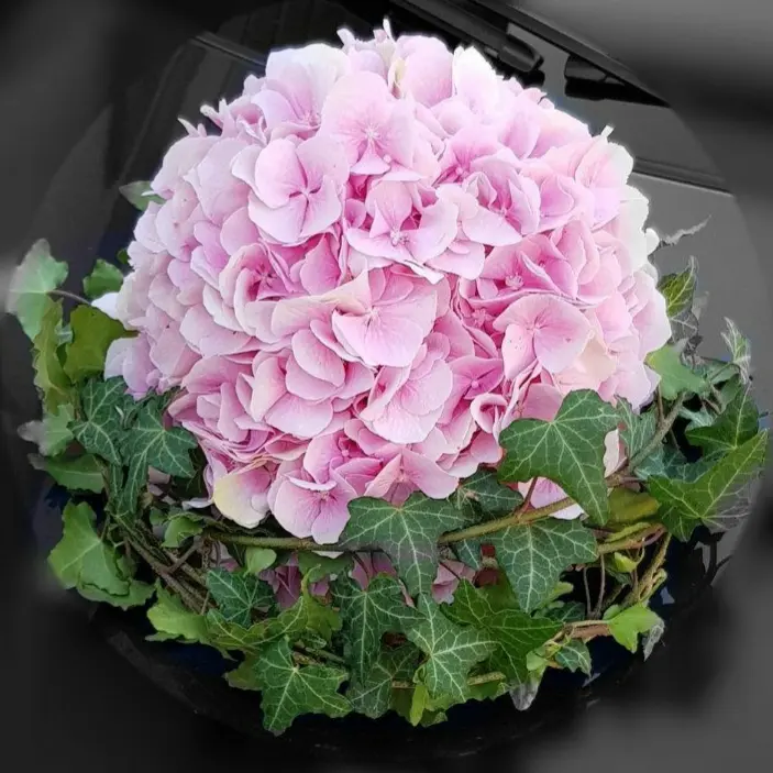 Andachtsbild von Für den geliebten Flick ♥️⭐♥️