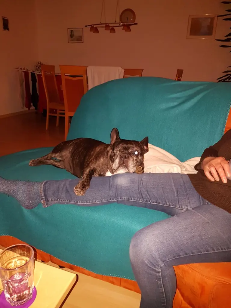 Andachtsbild von Alois und Gudrun mit Yoda ❤️