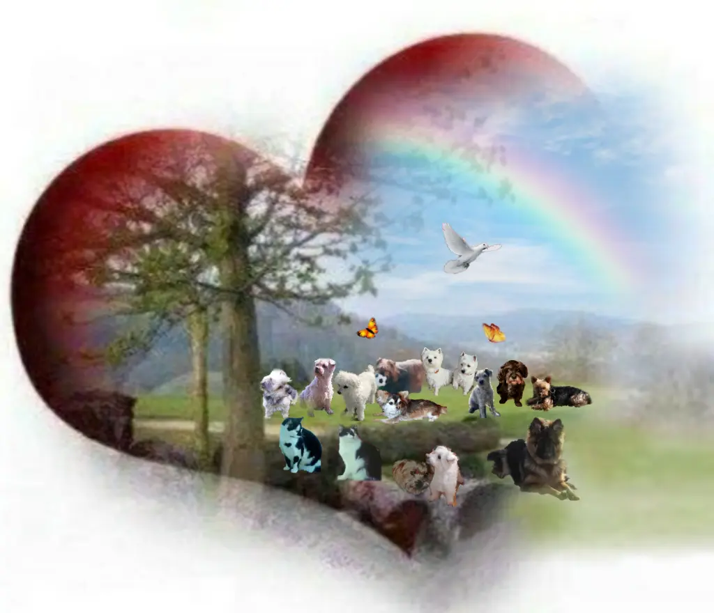 Andachtsbild von ❤❤