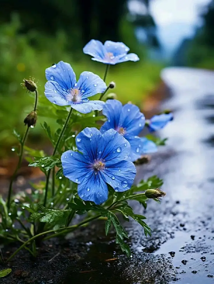 Andachtsbild von Für den lieben Flick ♥️⭐♥️ 