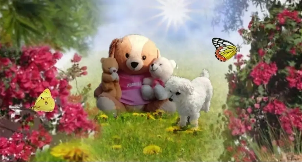 Andachtsbild von Snowy ❤️