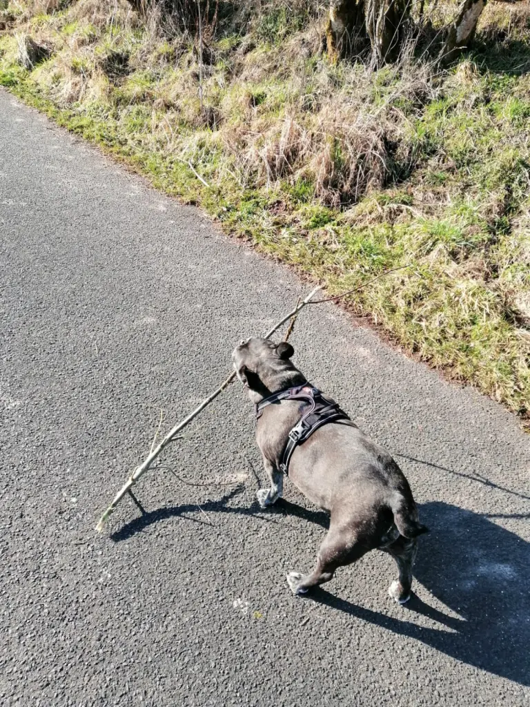Andachtsbild von Alois und Gudrun mit Yoda ❤️