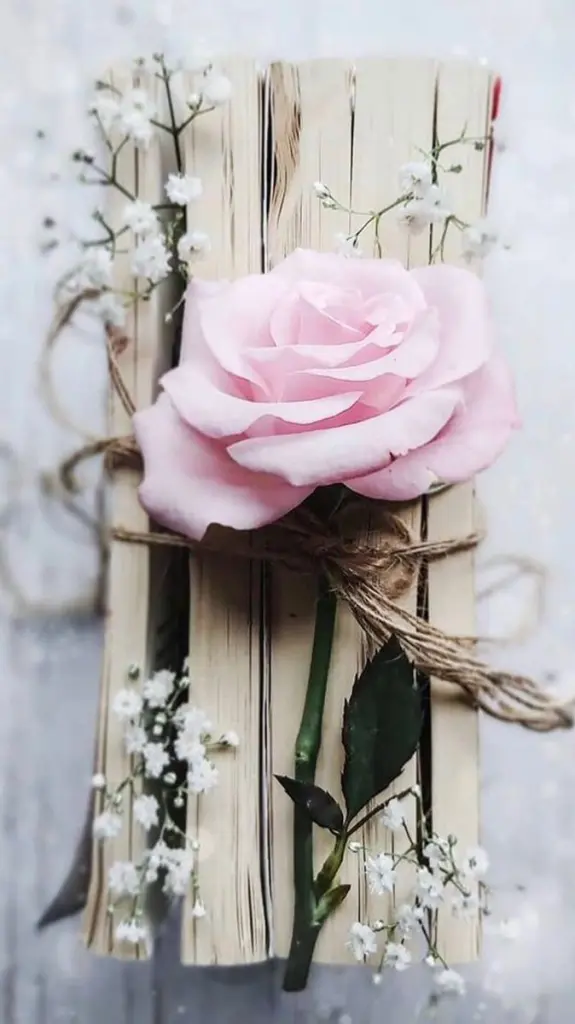 Andachtsbild von Martina mit Seelenhund Samy ♥️⭐♥️ für immer im Herzen 