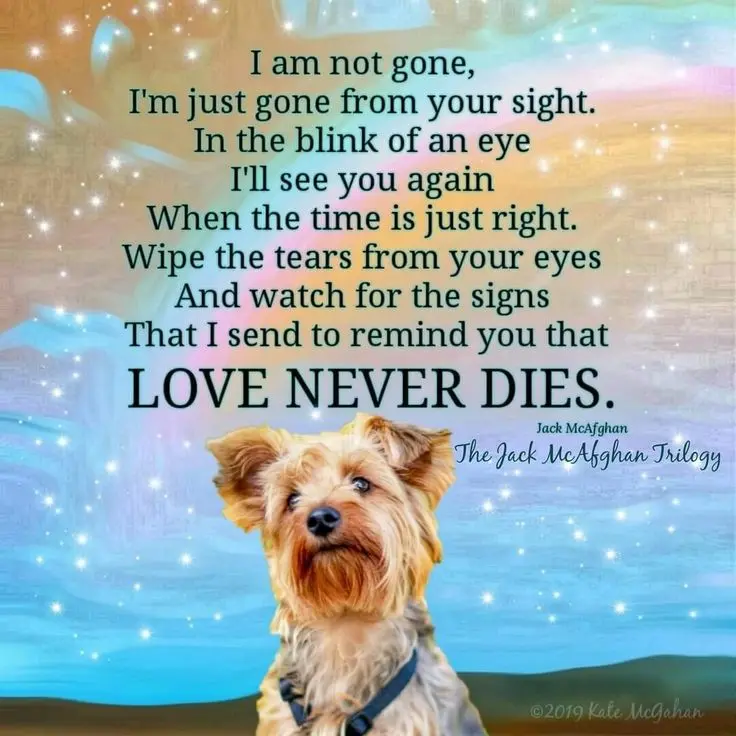 Andachtsbild von Martina mit Seelenhund Samy ♥️⭐♥️ für immer im Herzen 