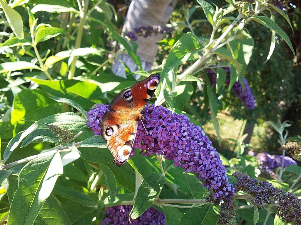 Andachtsbild von Mami