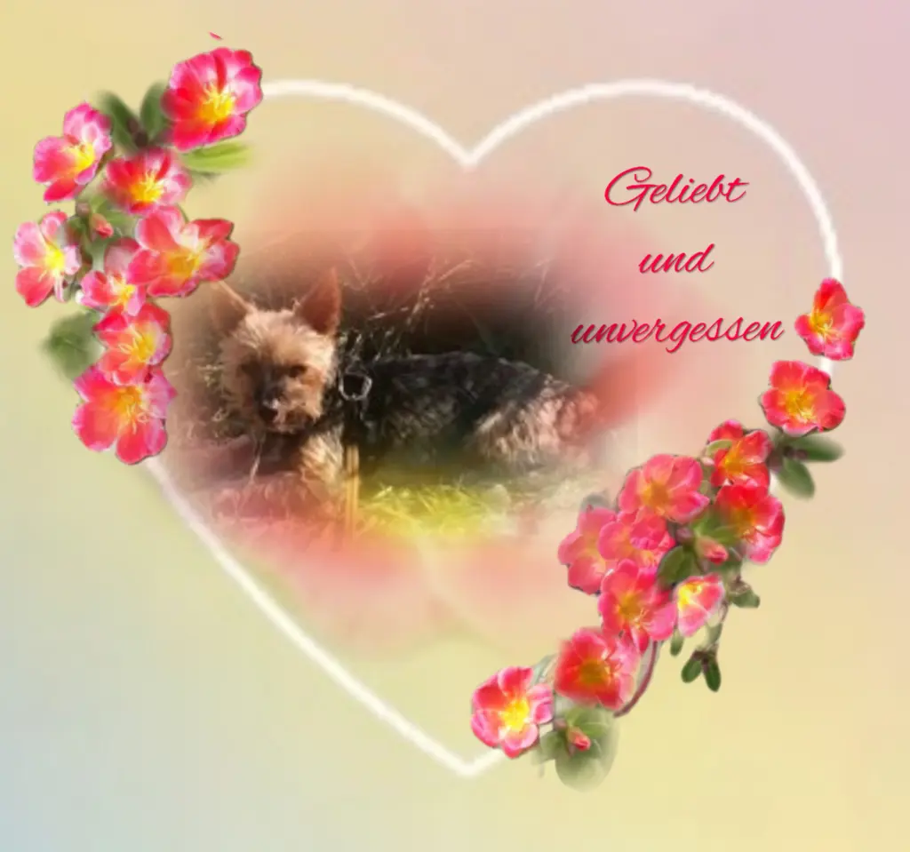 Andachtsbild von ❤️❤️