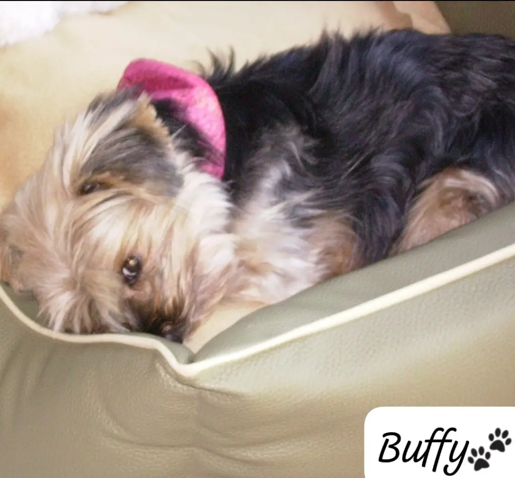 Andachtsbild von Buffy ❤️für Flick ❤️