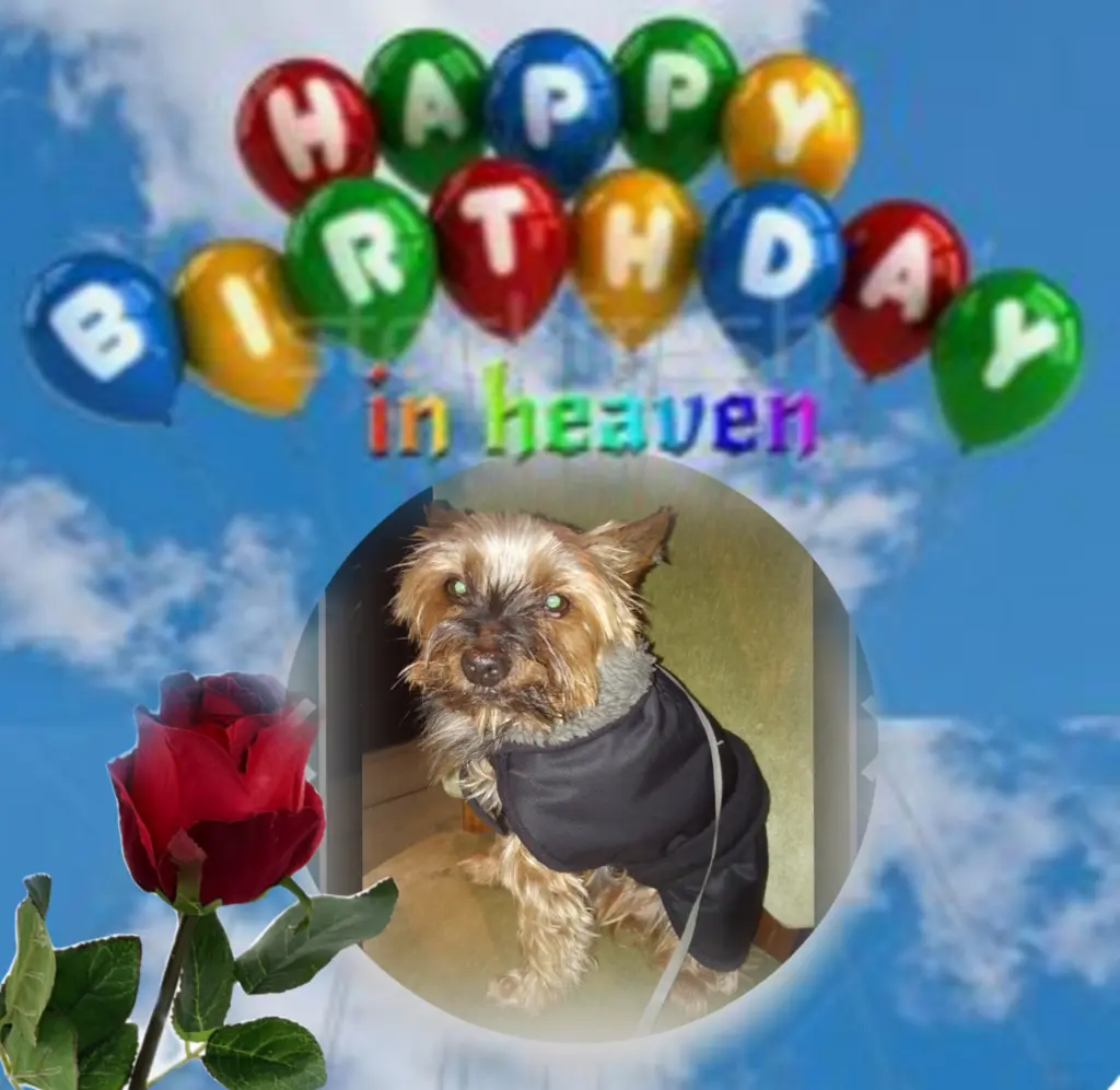 Andachtsbild von ❤️Happy Birthday lieber Flick❤️