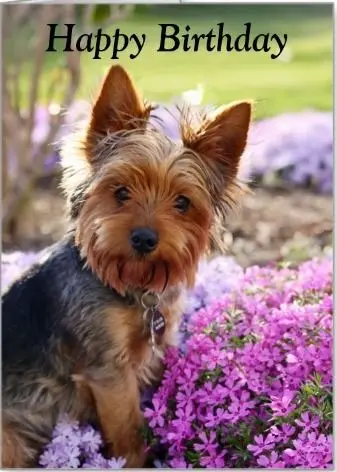 Andachtsbild von ❤️ Happy Birthday ❤️