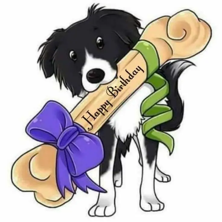 Andachtsbild von Martina mit Seelenhund Samy ♥️⭐♥️ für immer im Herzen 