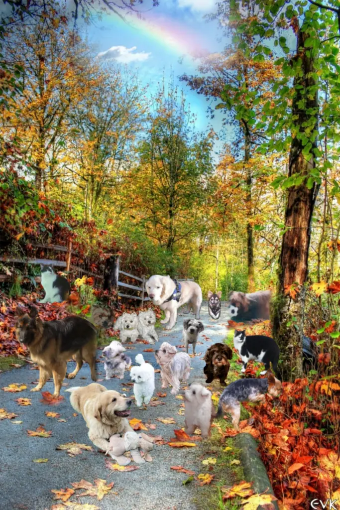 Andachtsbild von ❤️Ein lieber Gruß aus dem Regenbogenland❤️