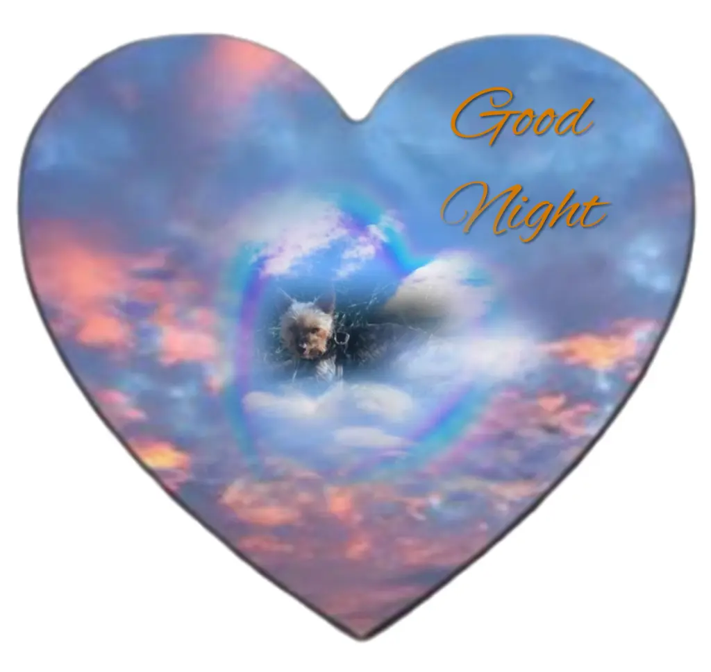 Andachtsbild von ❤️❤️