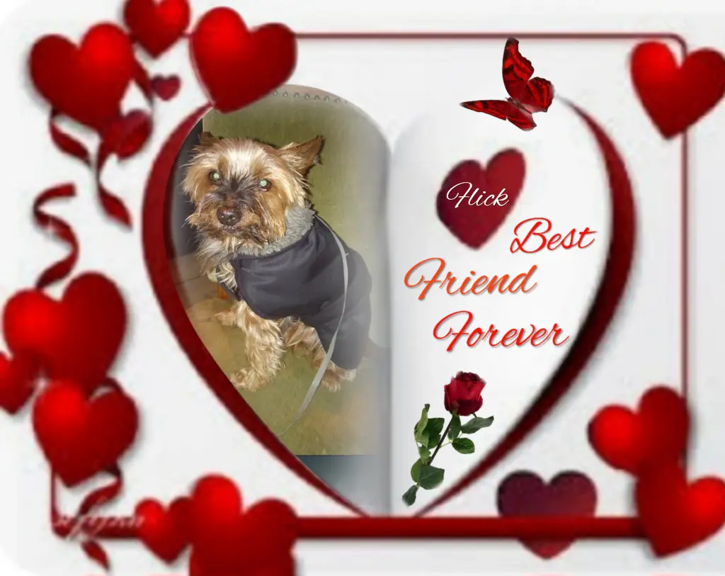 Andachtsbild von ❤️❤️