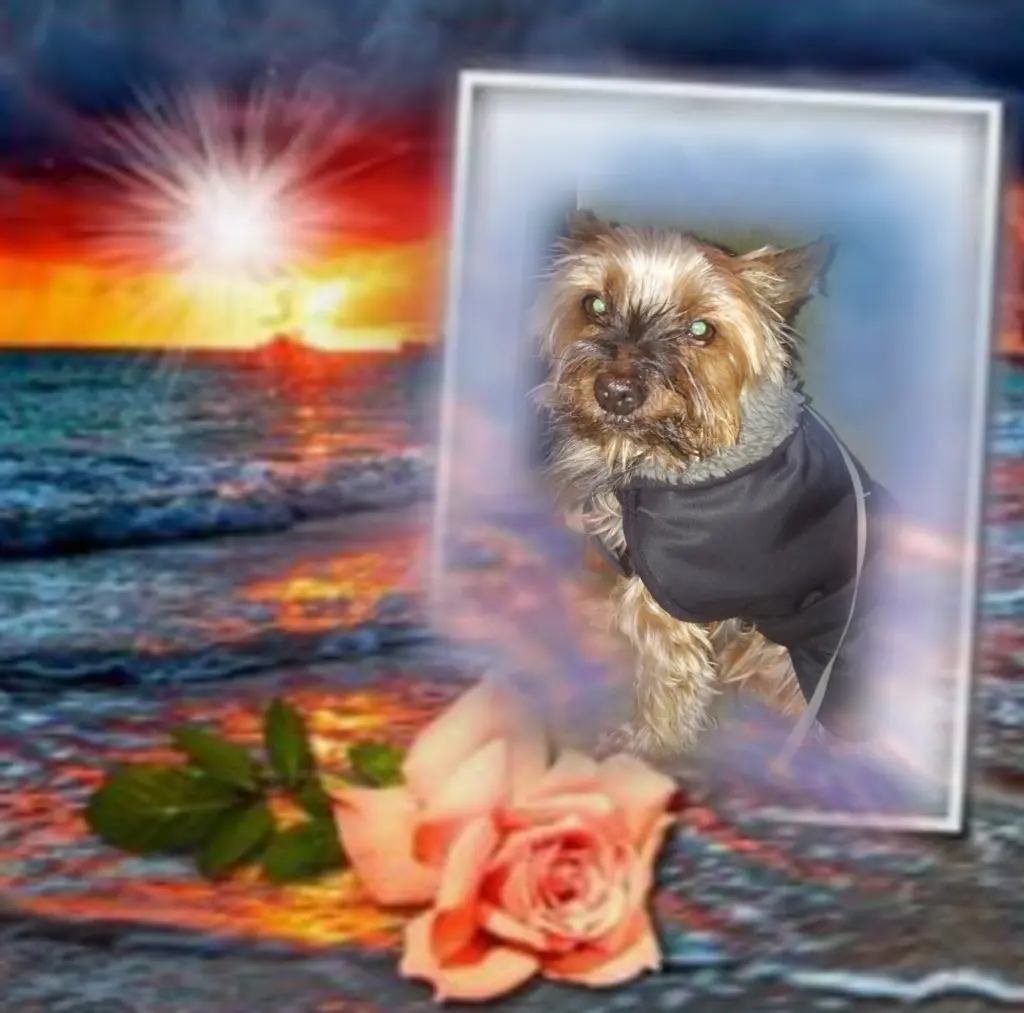 Andachtsbild von ❤️❤️