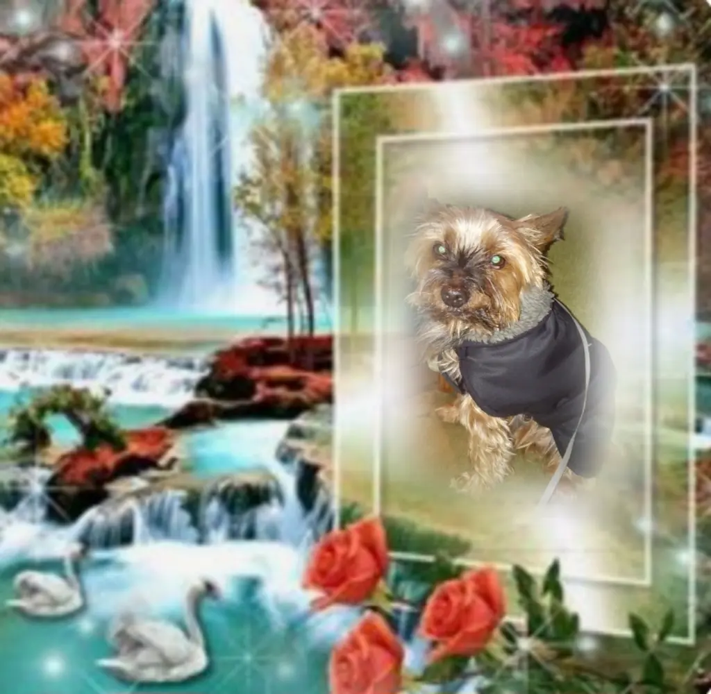 Andachtsbild von ❤️❤️