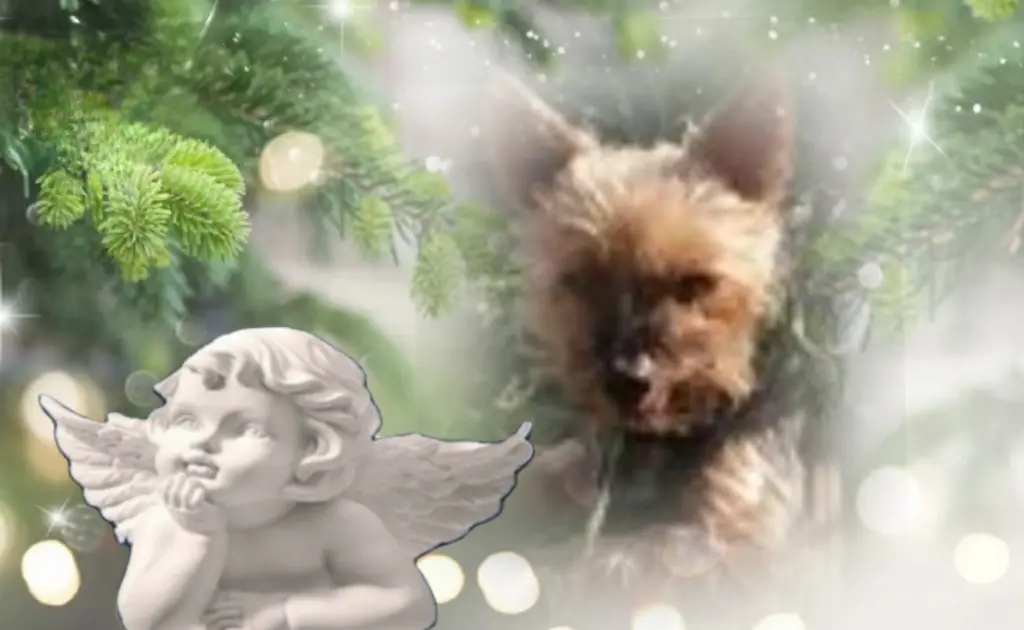 Andachtsbild von ❤️❤️