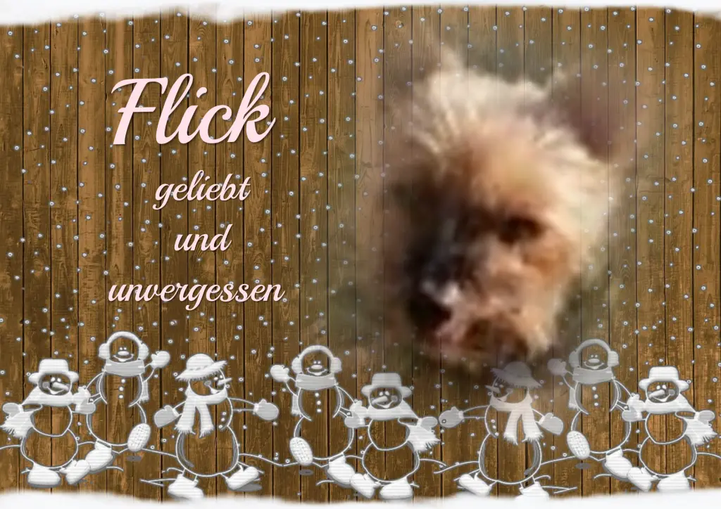 Andachtsbild von Gaby mit Snowy* im Herzen♥️