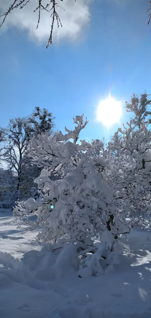 Andachtsbild von Erika