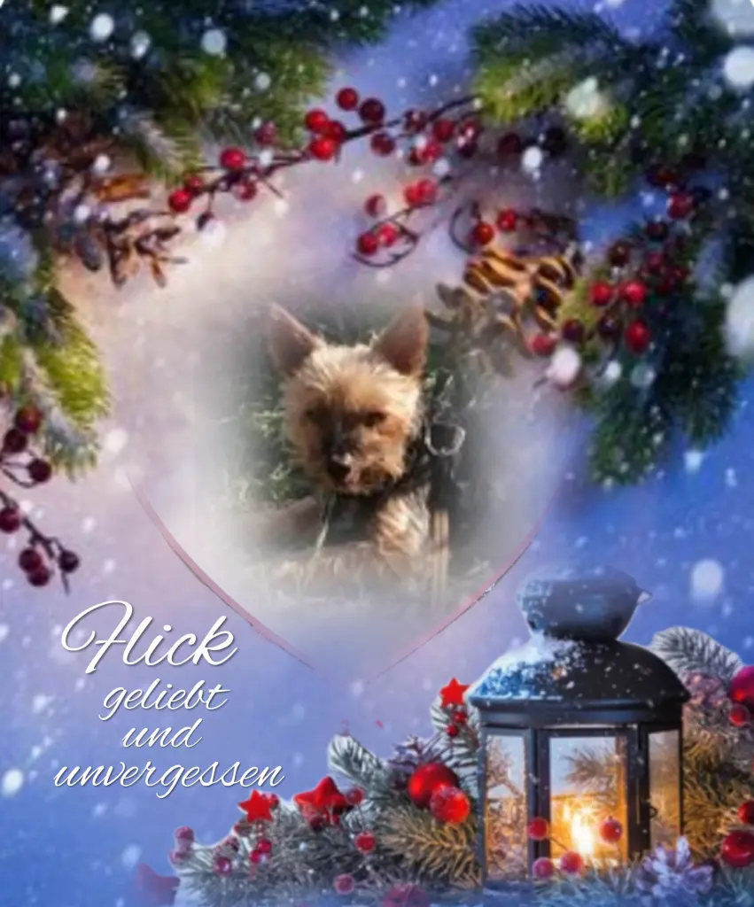 Andachtsbild von ❤️❤️