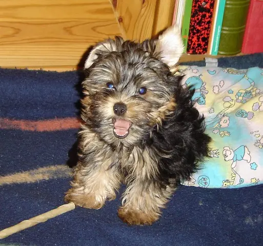 Andachtsbild von Christiane mit Kenny tief im Herzen ❤️