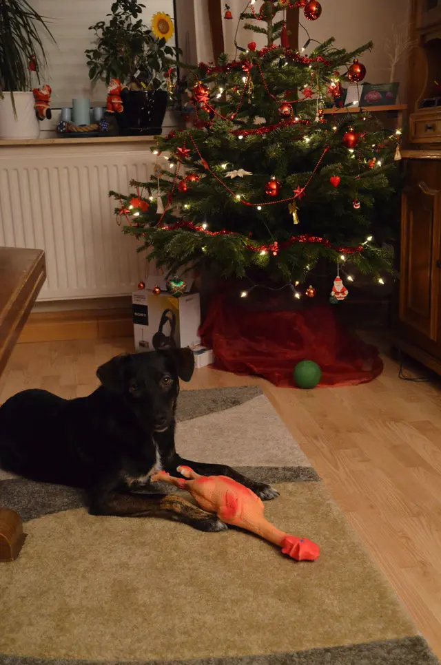 Andachtsbild von Helmut