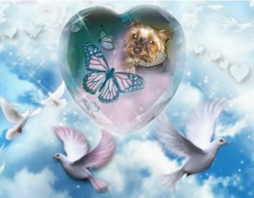 Andachtsbild von ❤️❤️