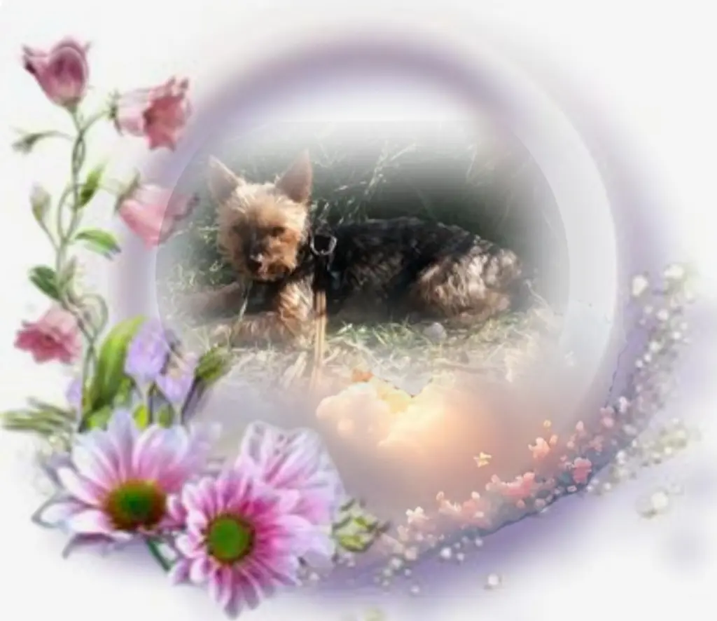 Andachtsbild von Flick❤️ geliebt❤️ und unvergessen❤️