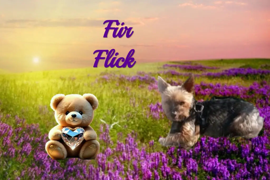 Andachtsbild von ♥️Immer im Herzen ❤️