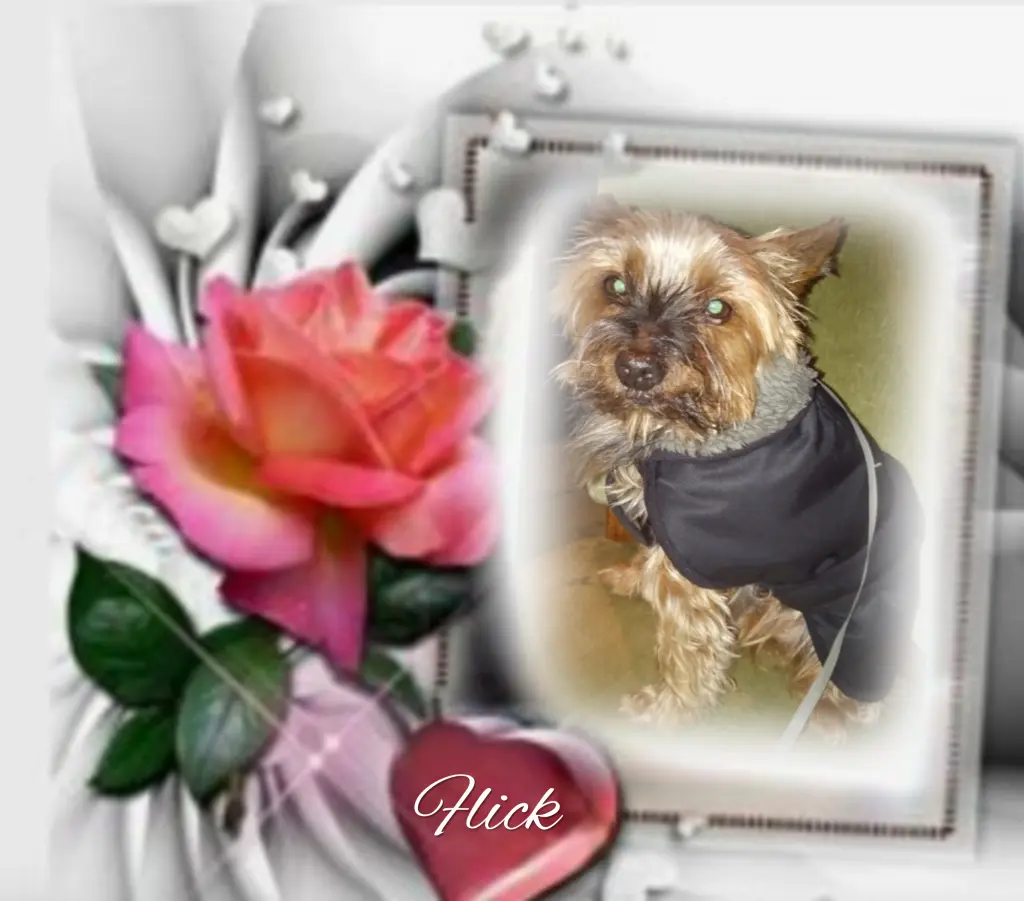 Andachtsbild von ❤️❤️